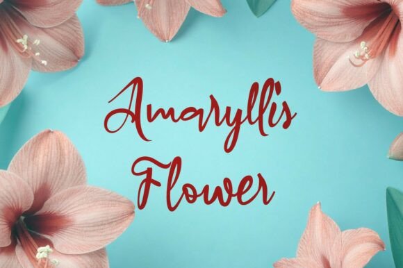 Amaryllis Flower: A Script Font with Flowing Elegance