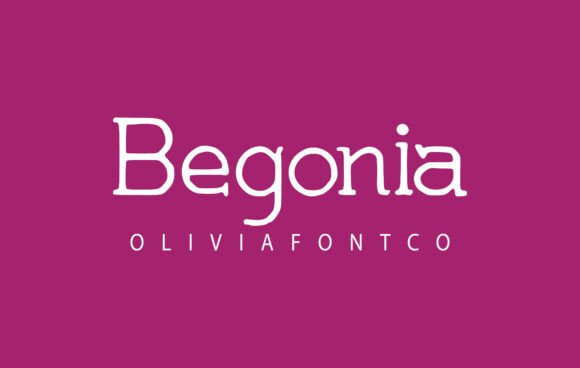 Begonia Font: A Romantic Script for Handmade Creators