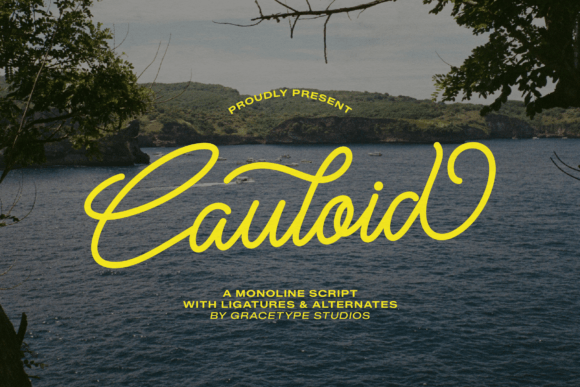Cauloid: A Font for Effortless Elegance